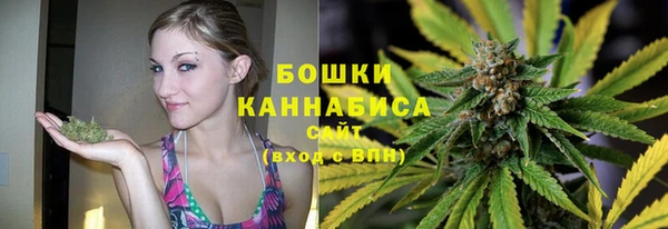 гидра Богородицк