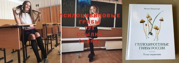 амф Богданович