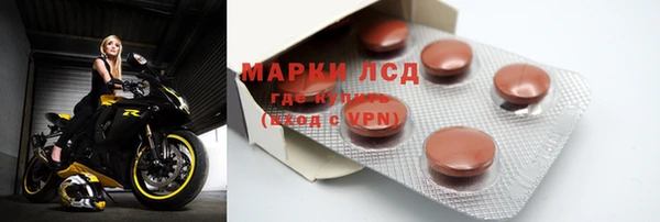 гидра Богородицк
