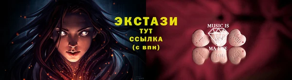 гидра Богородицк