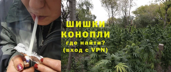 амф Богданович