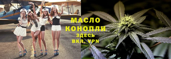 гидра Богородицк