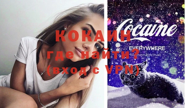 гидра Богородицк
