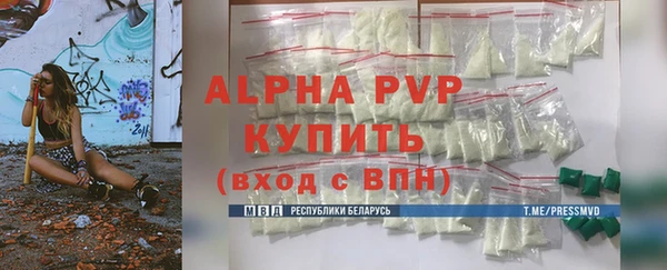 гидра Богородицк