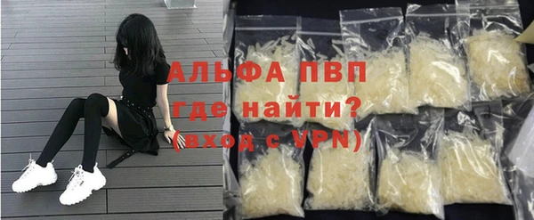гидра Богородицк